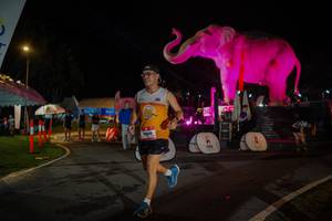 BIB: 
                            <button type="button" onclick="openModal(26552045)" class="btn btn-primary btn-sm float-right btn-popup" data-toggle="modal" data-target=".modal-high-quality">
                        <i class="fas fa-shopping-cart"></i> Add to Cart
                    </button>
                                            <button type="button" onclick="isThisMe(26552045, true)" class="btn btn-success btn-sm float-right btn-popup btn-isme hidden" data-toggle="tooltip" data-placement="bottom" title="นี่คือรูปของคุณใช่ไหม คลิกที่นี่เพื่อเอาเข้าอัลบั้ม">
                        <i class="fas fa-plus"></i> Add to album
                    </button>
                    <button type="button" onclick="isThisMe(26552045, false)" class="btn btn-warning btn-sm float-right btn-popup btn-isnotme hidden">
                        <i class="fas fa-ban"></i> Remove from album
                    </button>